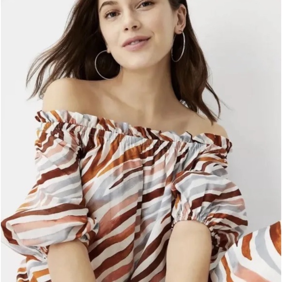 NWOT Ann Taylor Zebra Stripe Boat Neck Midi Dress OVERSIZED fits up to S/M - Picture 3 of 9